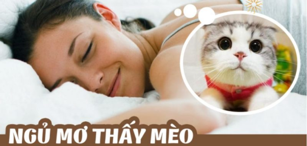 Giải mã mơ thấy mèo và những điều đặc biệt mang tới